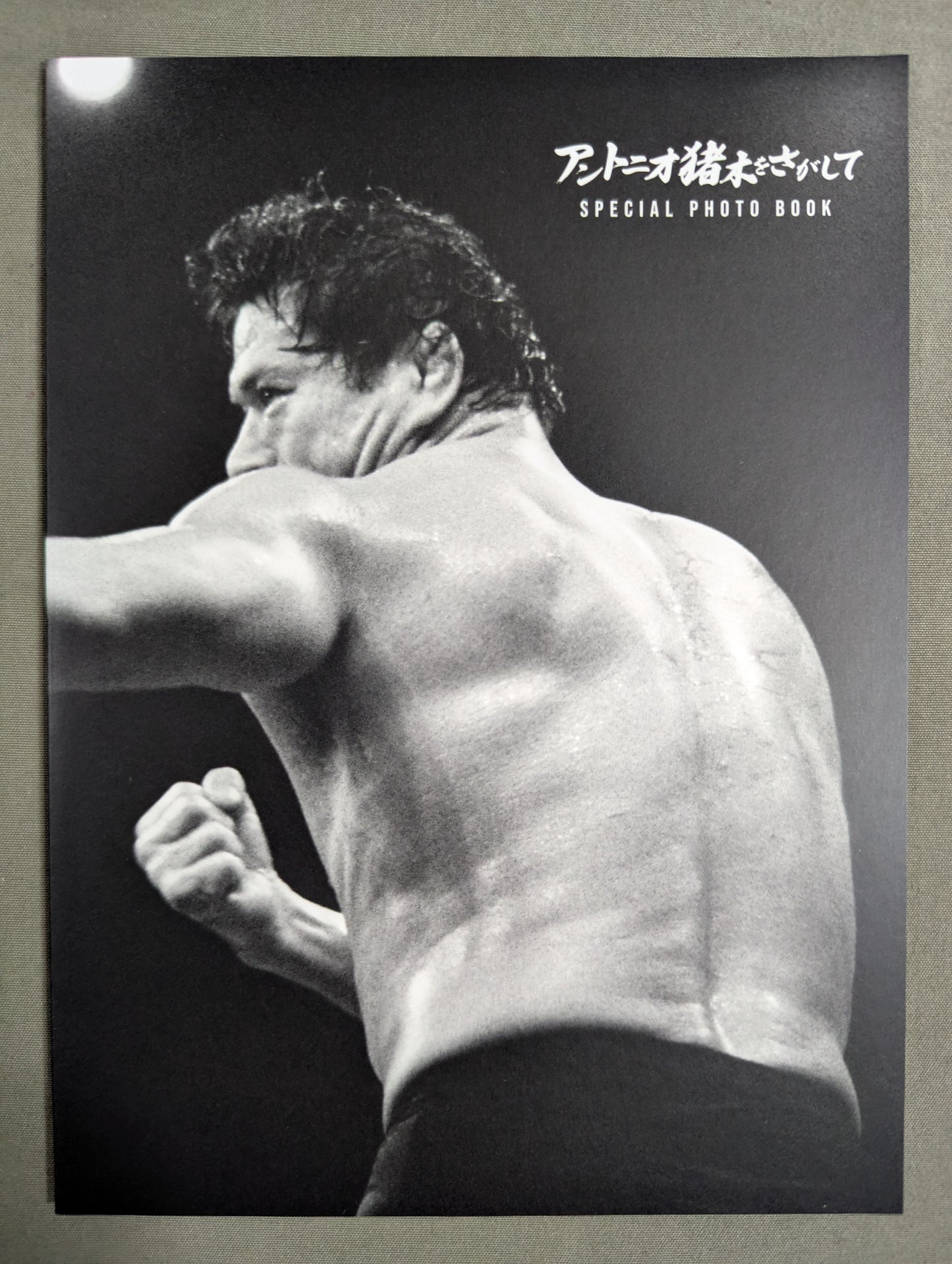 Looking ★ for Antonio Inoki  Completely limited production version ★
