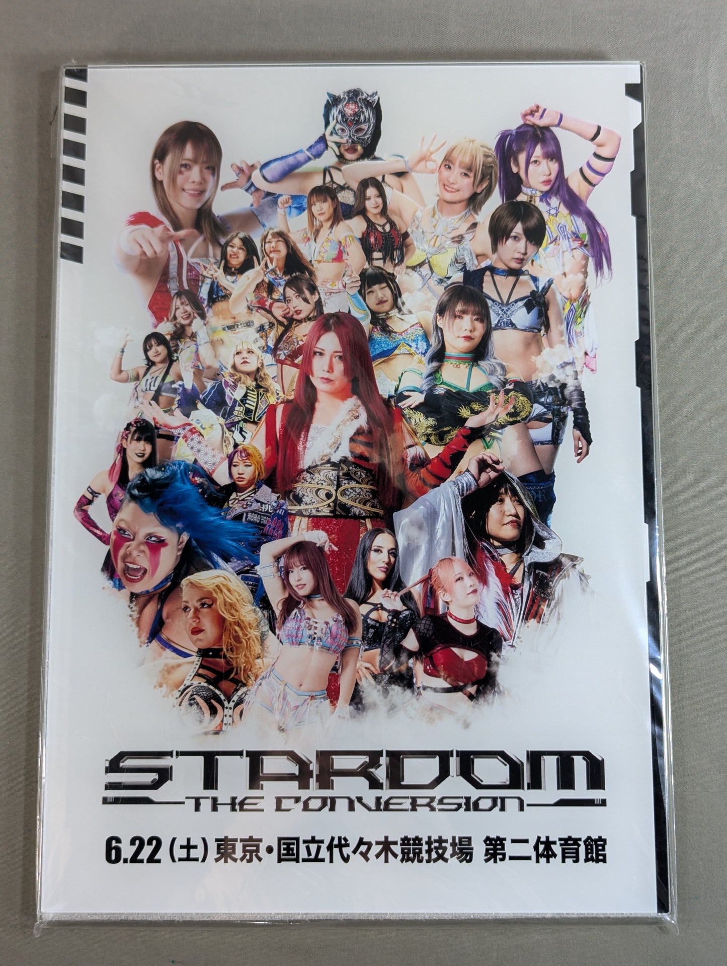 STARDOM THE CONVERSION 2024 Acrylic Panel