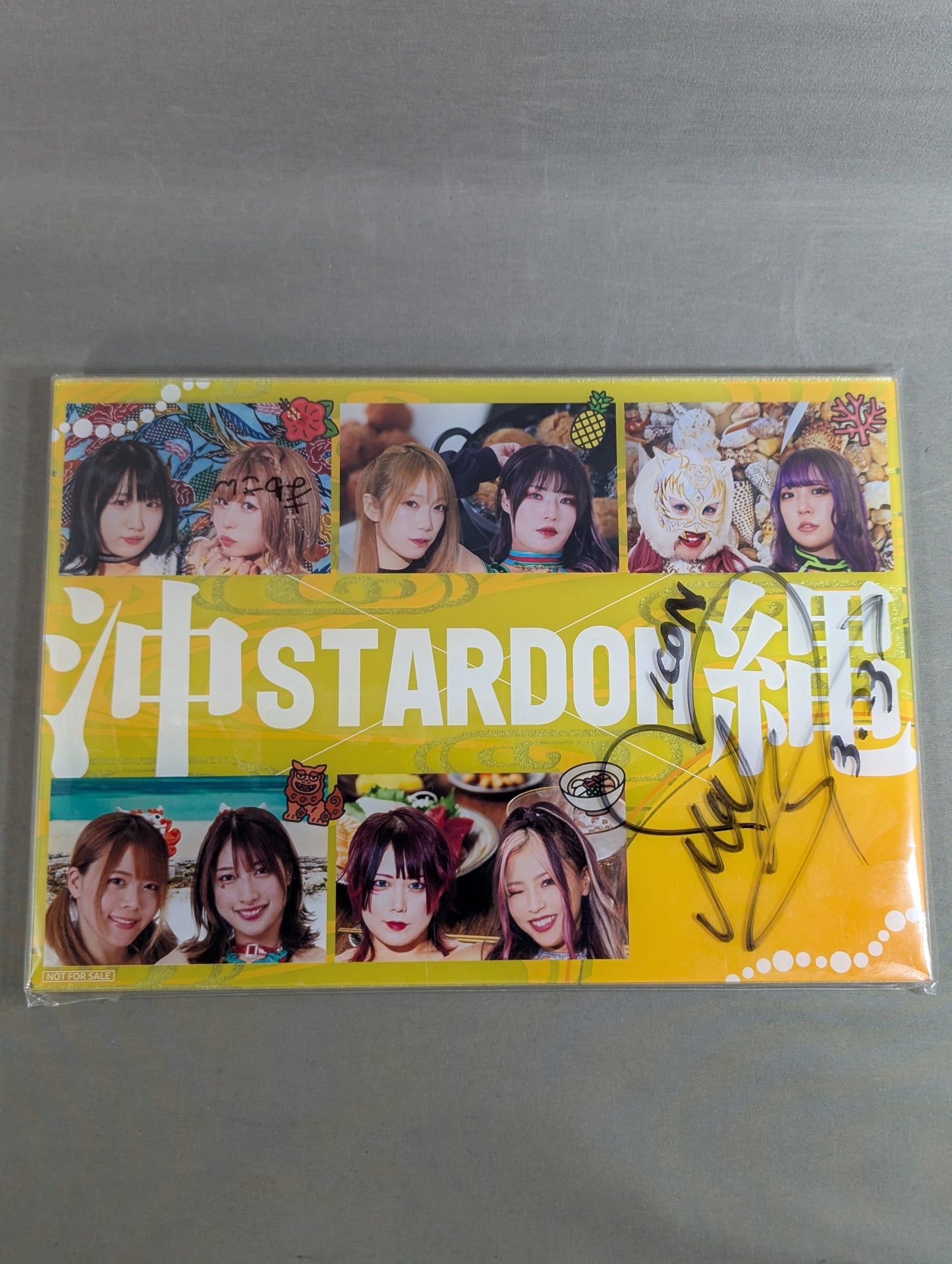 【岩谷麻優 直筆サイン入り】STARDOM プレミアムパッケージツアー in 沖縄 アクリルパネル