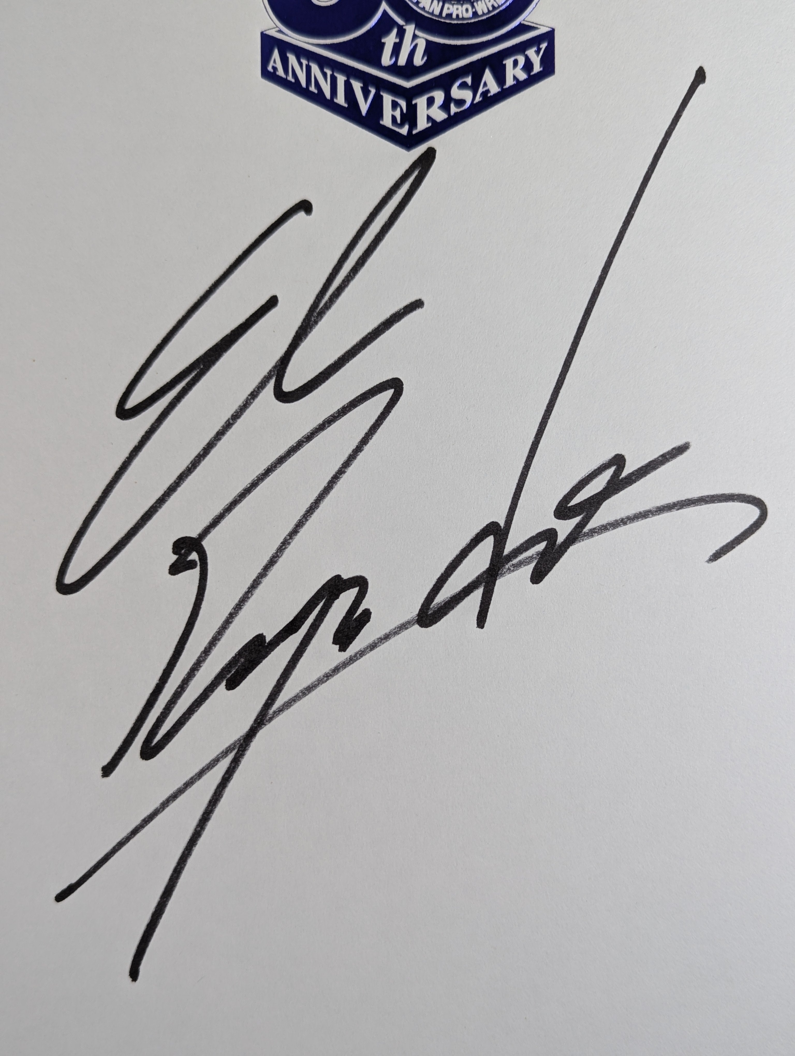 エル・デスペラード(新日本プロレス50周年記念色紙) – 闘道館