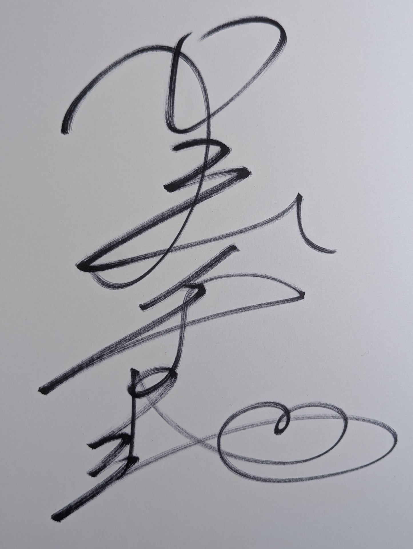 プラム麻里子(生写真付)