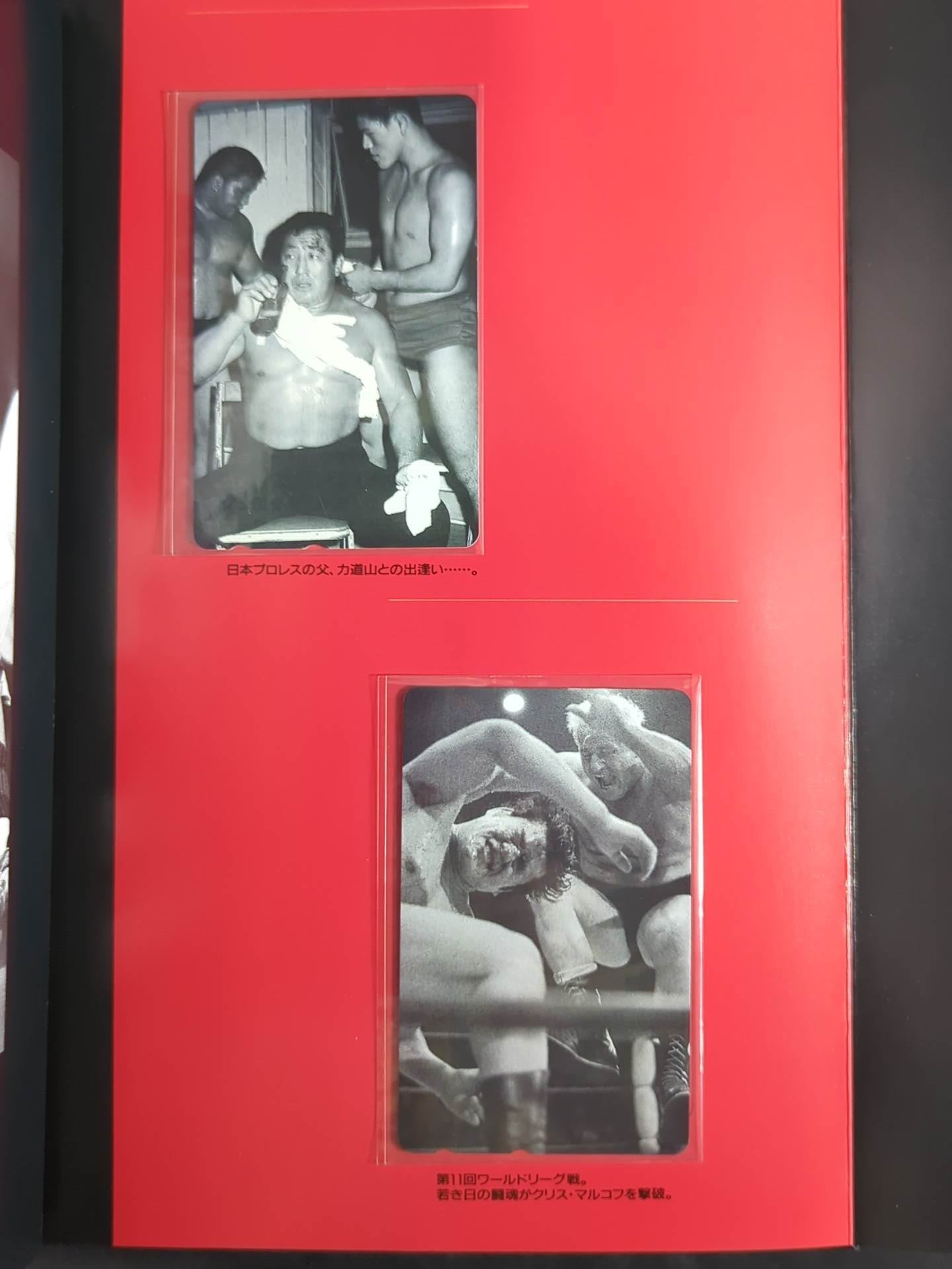 Antonio Inoki  Telephone Card [Heat Album]