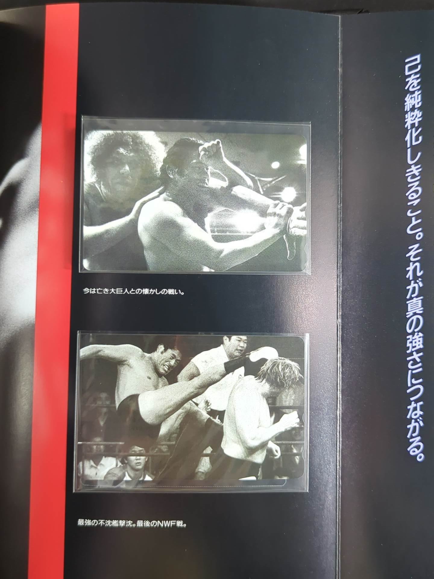 Antonio Inoki  Telephone Card [Heat Album]
