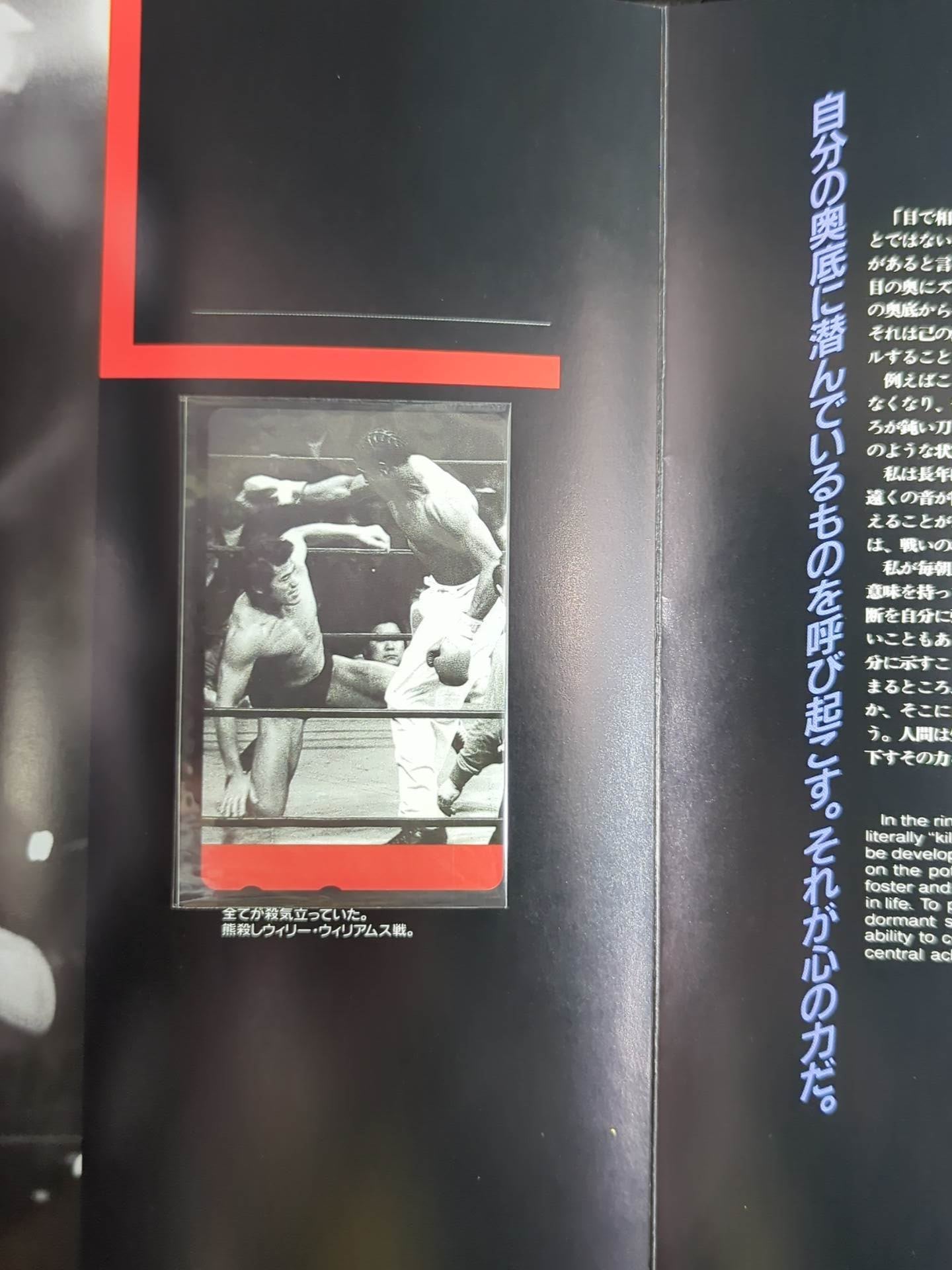 Antonio Inoki  Telephone Card [Heat Album]