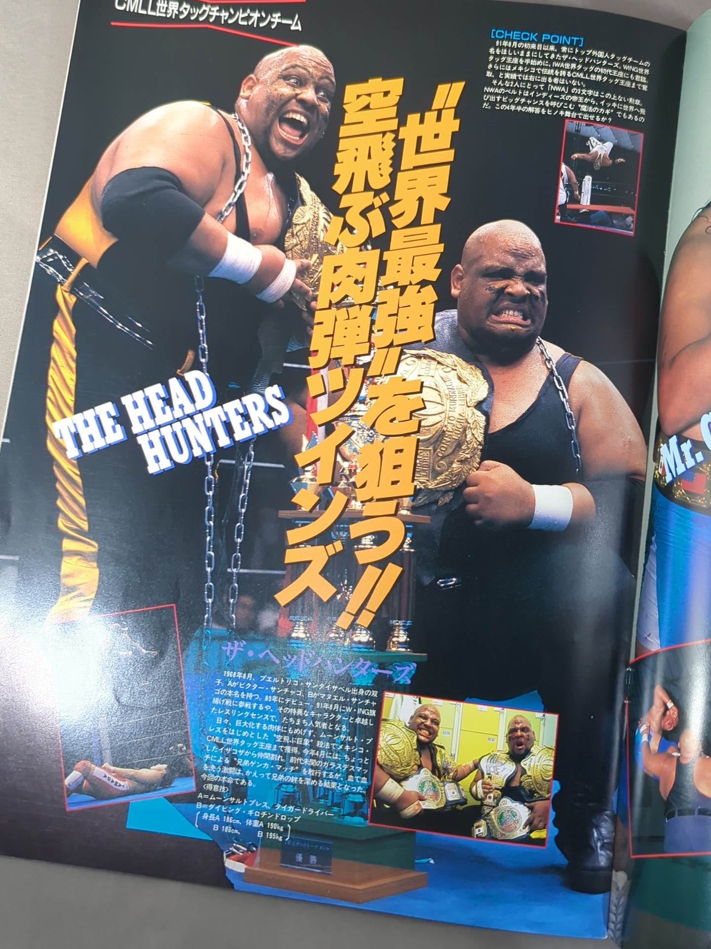 NWA世界タッグリーグ戦～2nd YEAR FINAL BATTLE～