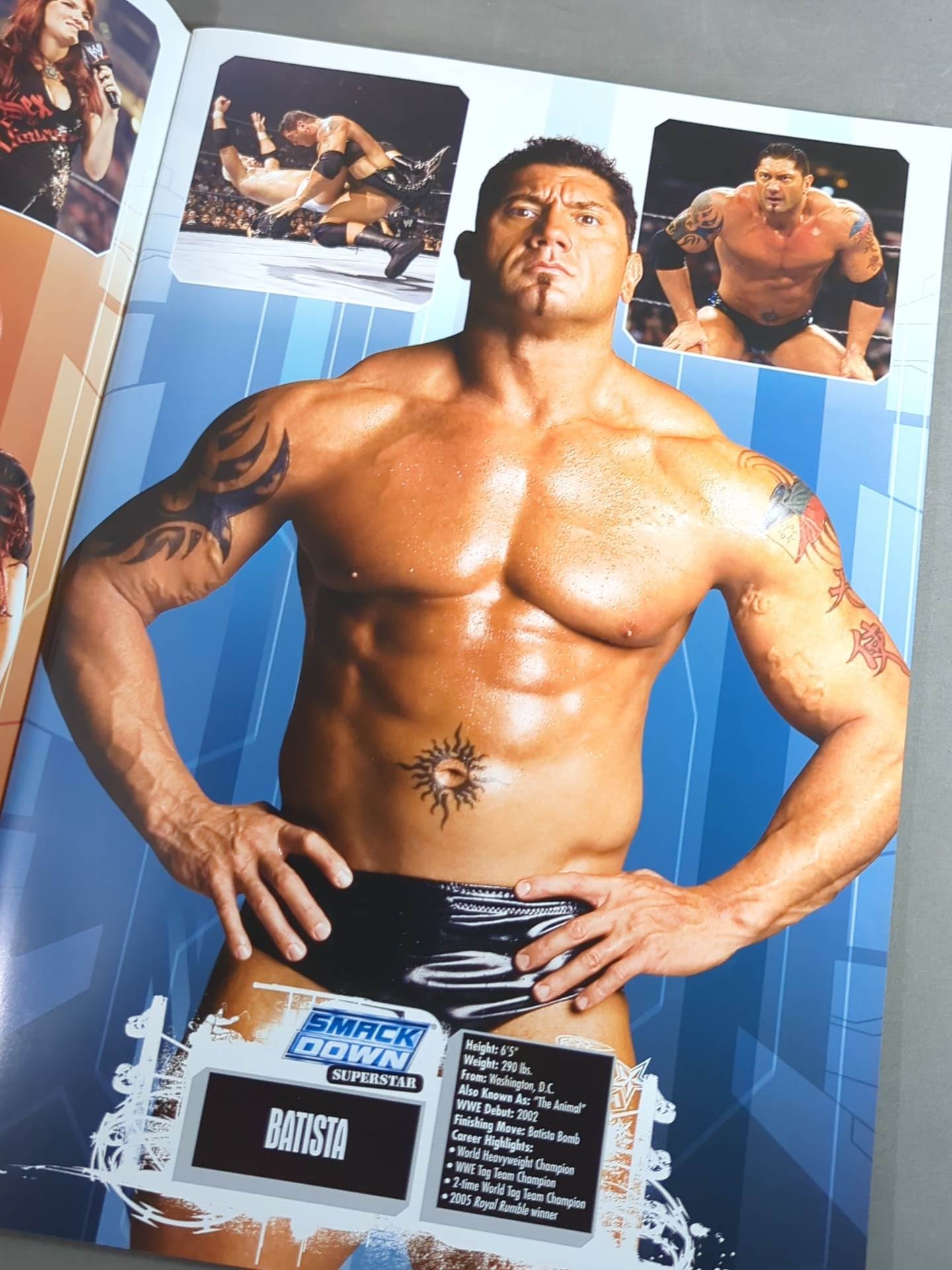 RAW＆SMACKDOWN＆ECW OFFICIAL SOUVENIR PROGRAM 2006