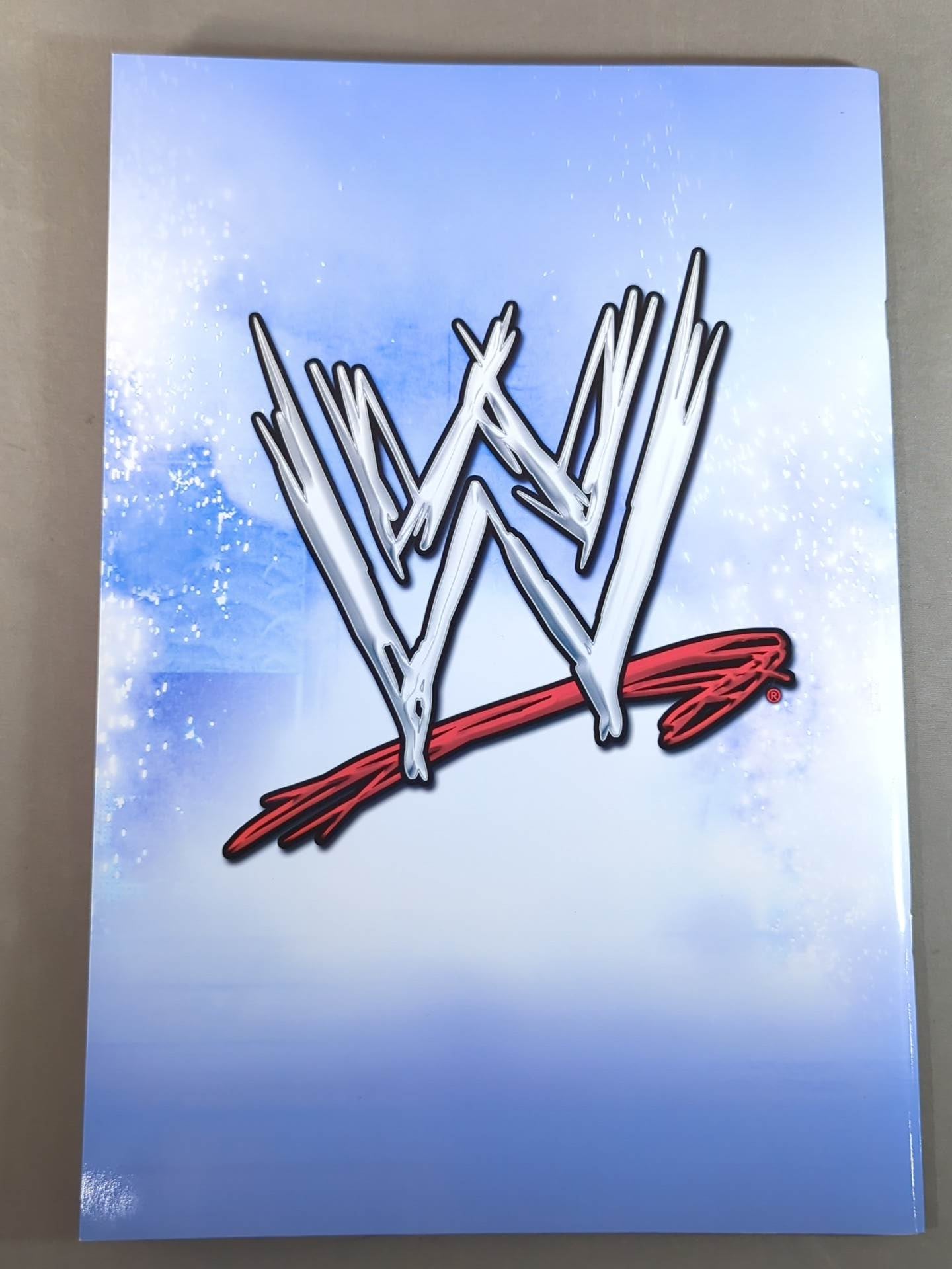 WWE SMACKDOWN! TOUR OFFICIAL SOUVENIR PROGRAM 2006 – 闘道館