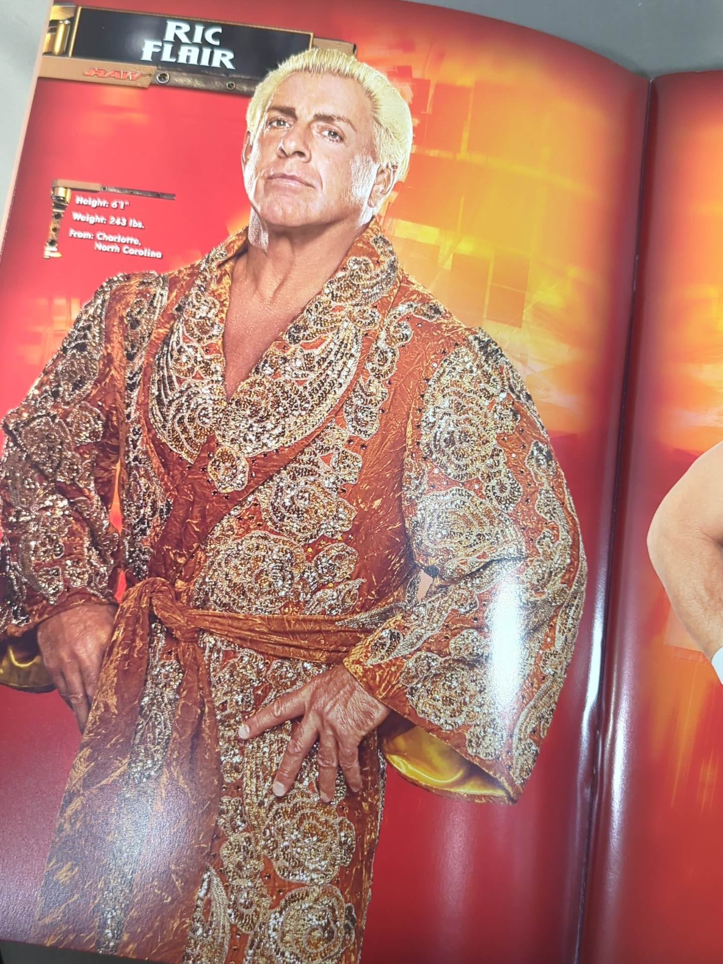 WWE SUPERSHOW OFFICIAL SOUVENIR PROGRAM 2005