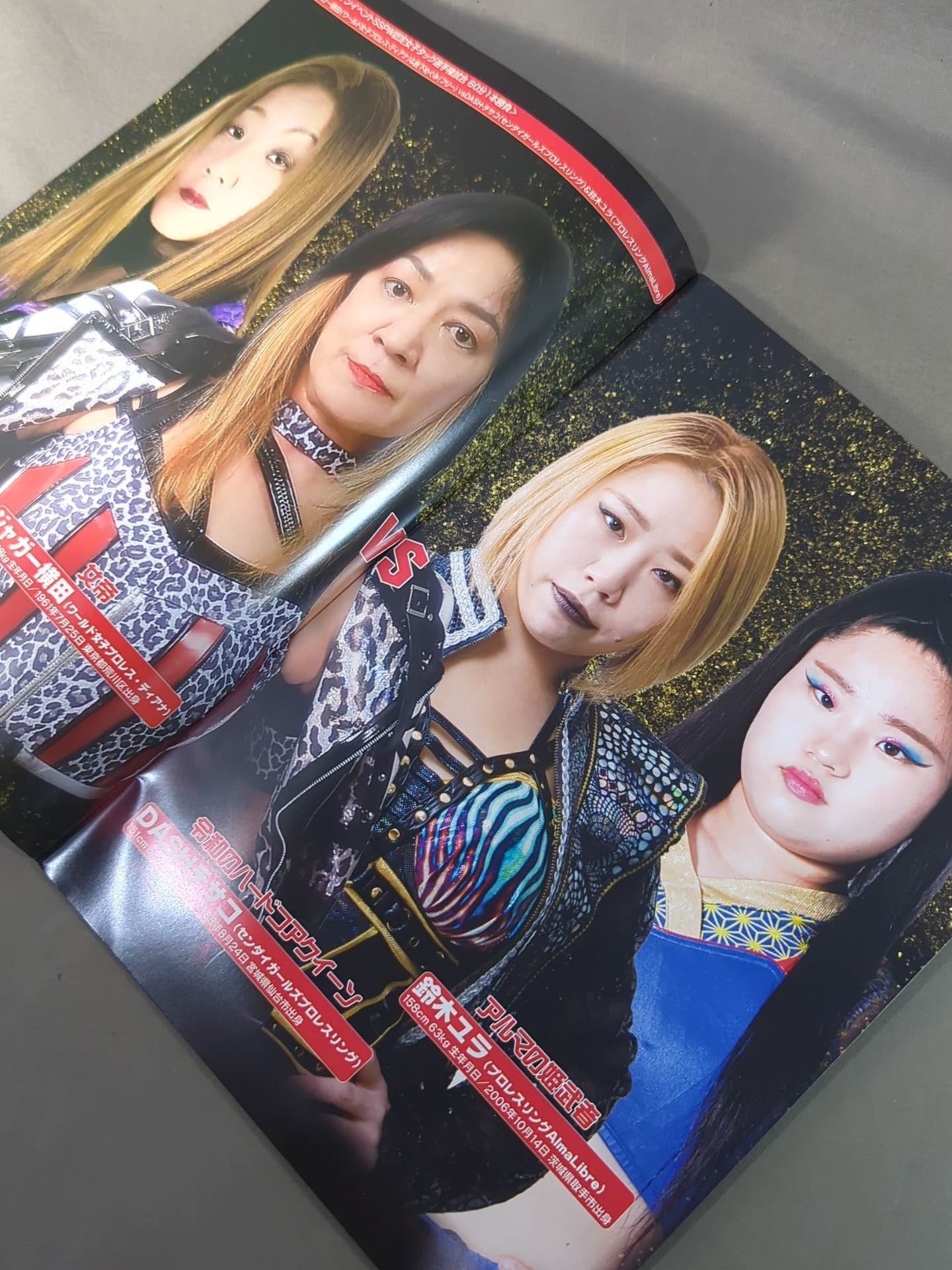 ストロングスタイル　プロレスリング★希少★新品未開封★配送無料 ストロングスタイルプロレス Vol.34 – 闘道館