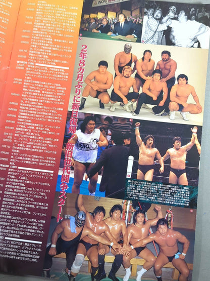 ★長州力引退記念試合★ FINAL POWER HALL in YOKOHAMA / TOKUYAMA