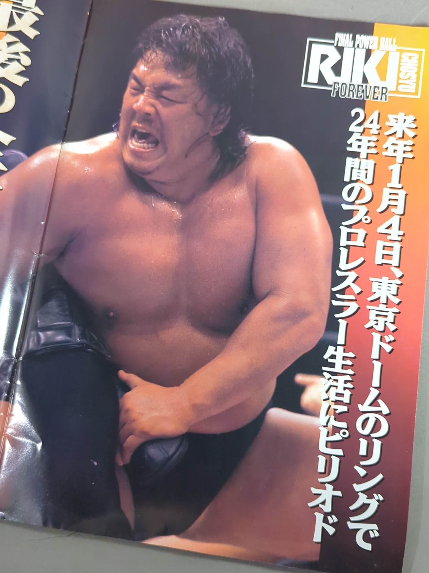 ★長州力引退記念試合★ FINAL POWER HALL in YOKOHAMA / TOKUYAMA