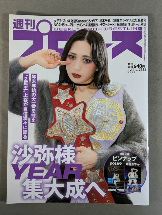 Weekly Pro Wrestling 2385
