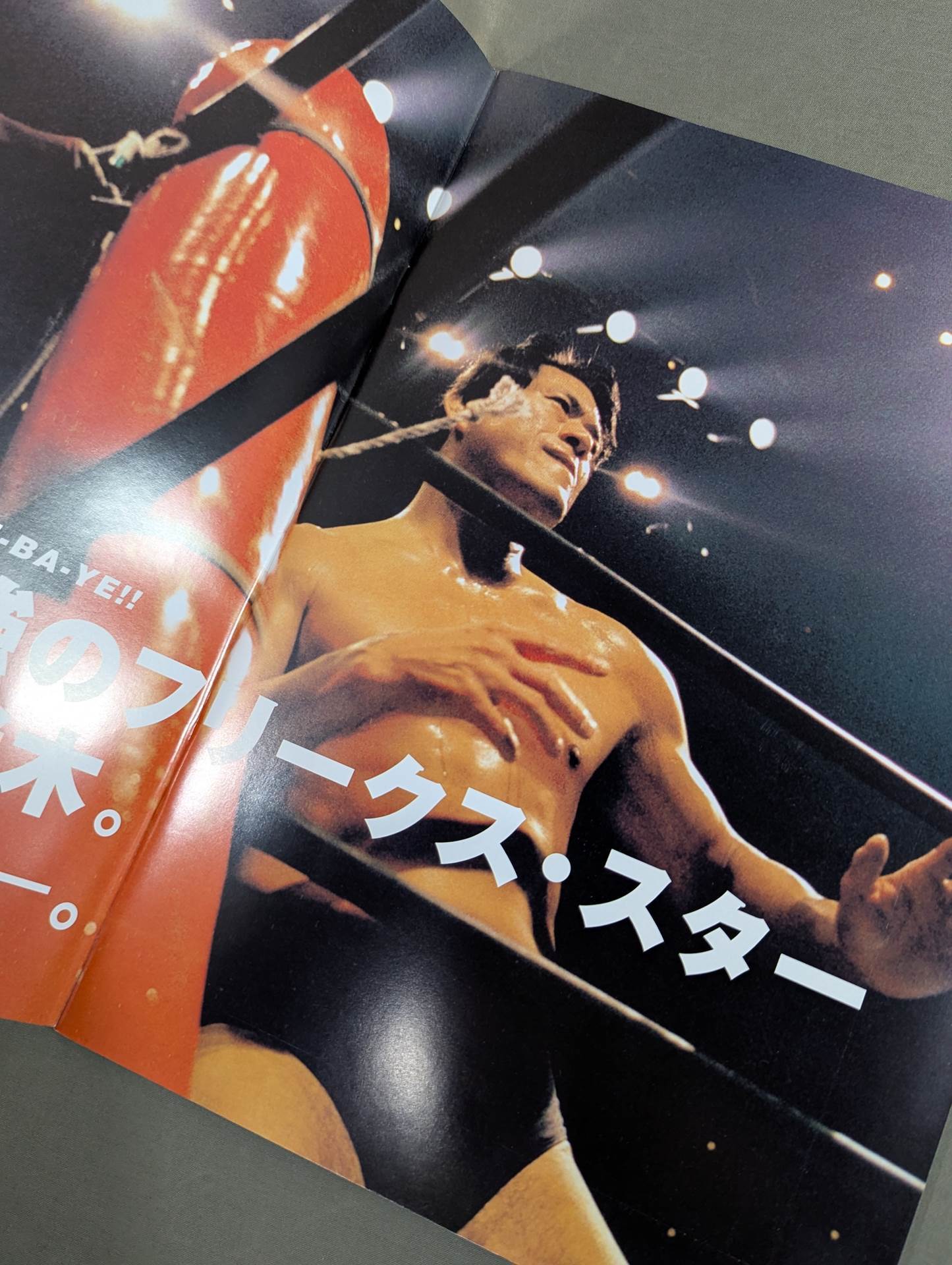 イノキ・ボンバイエ ミレニアム・ファイティング・アーツ