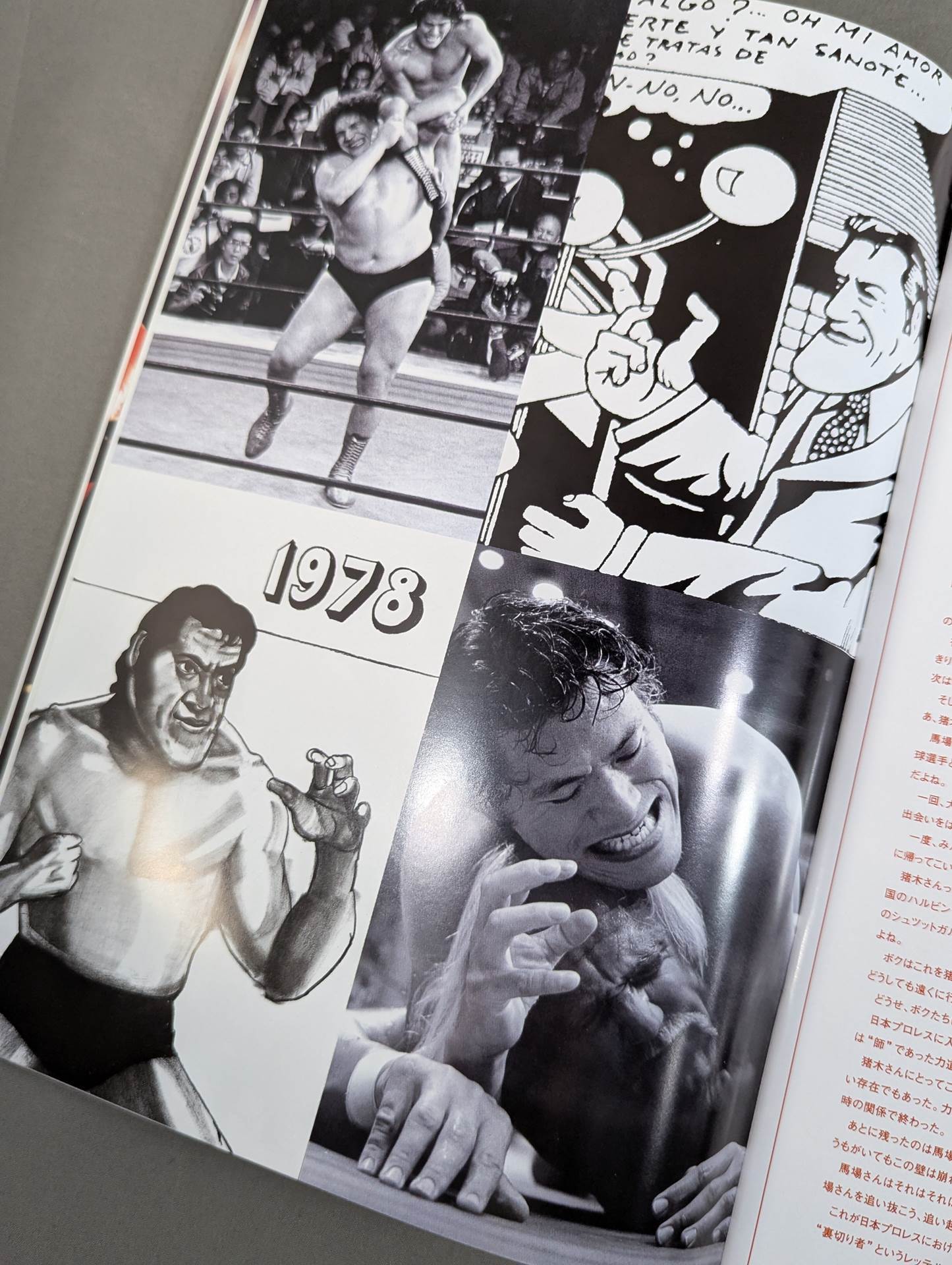 イノキ・ボンバイエ ミレニアム・ファイティング・アーツ – 闘道館