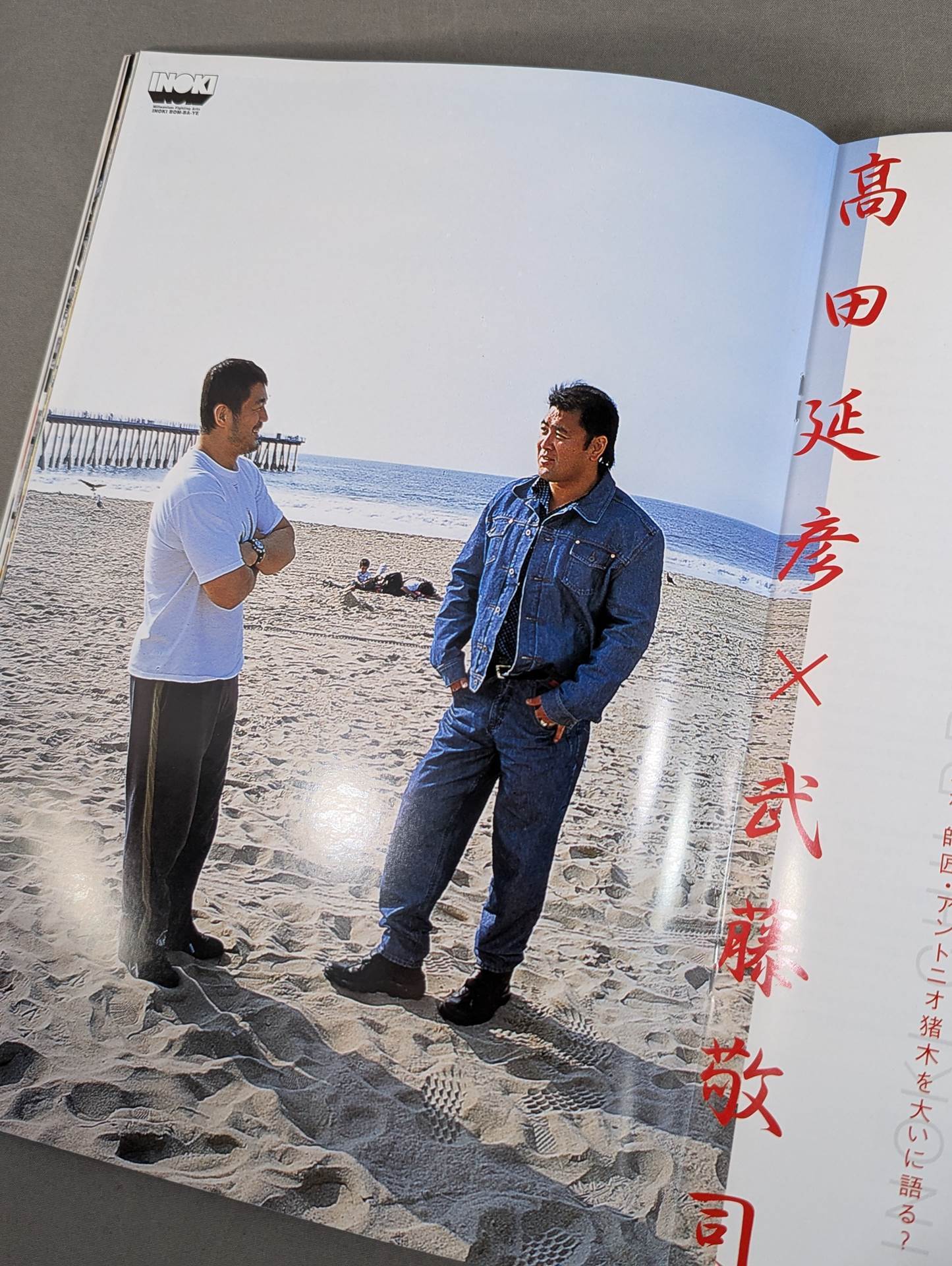 イノキ・ボンバイエ ミレニアム・ファイティング・アーツ