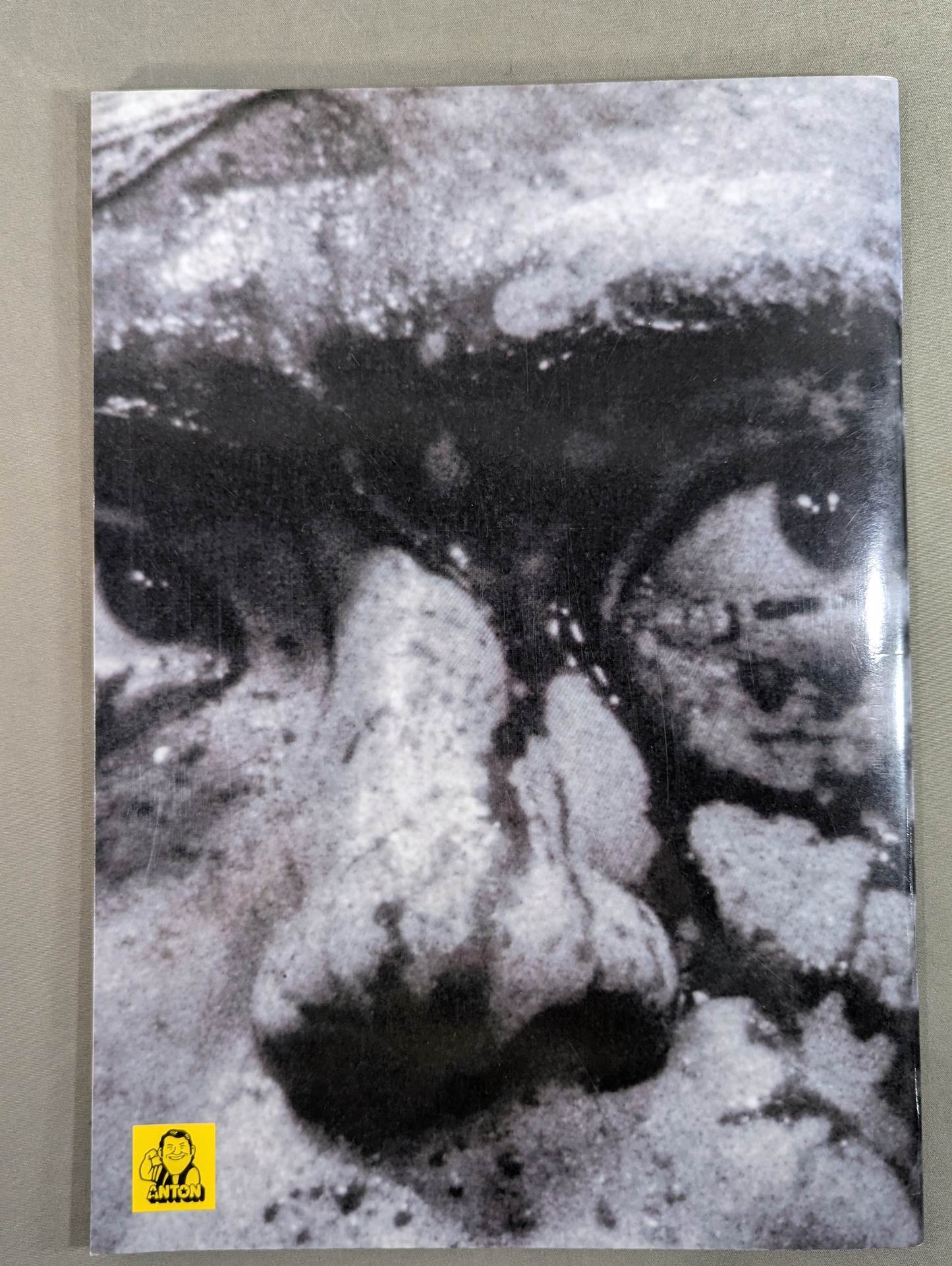 イノキ・ボンバイエ ミレニアム・ファイティング・アーツ