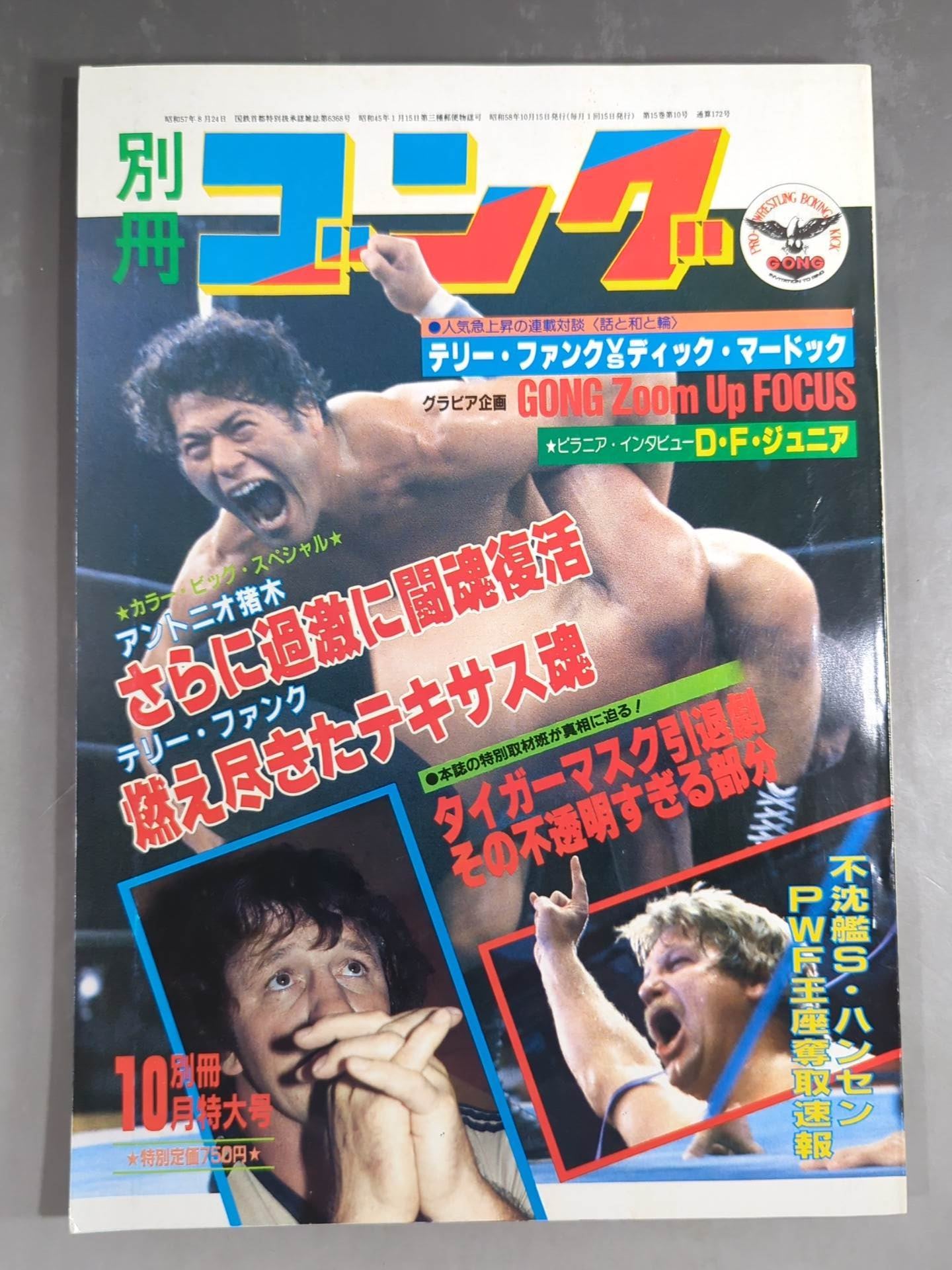 別冊ゴングVol.15 No.10