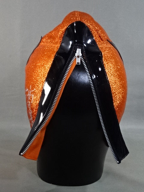 桜庭和志 – 闘道館