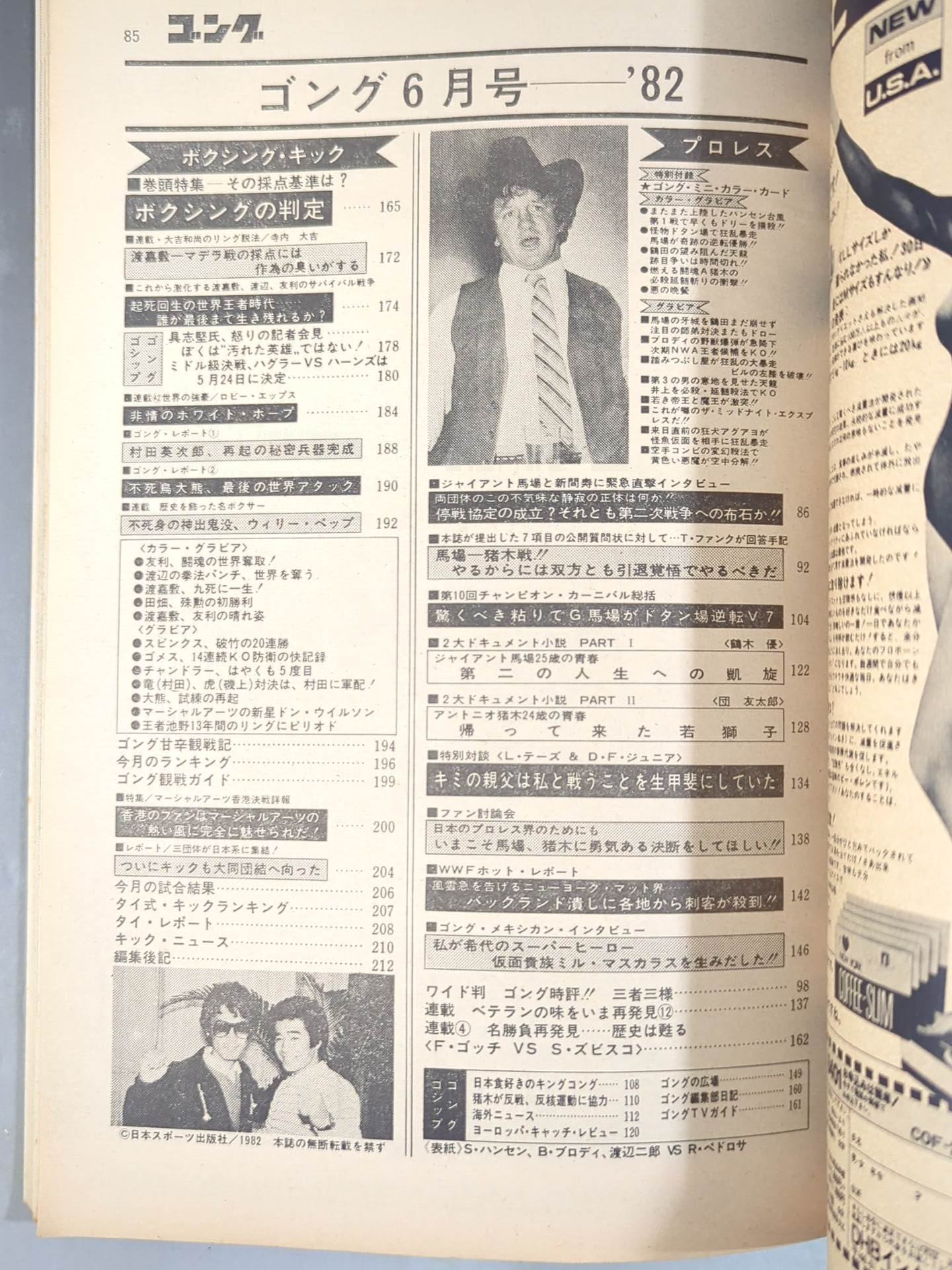 ★ Terry Funk Monthly Gong Vol.15 ★ No.6 with Mini Color Card