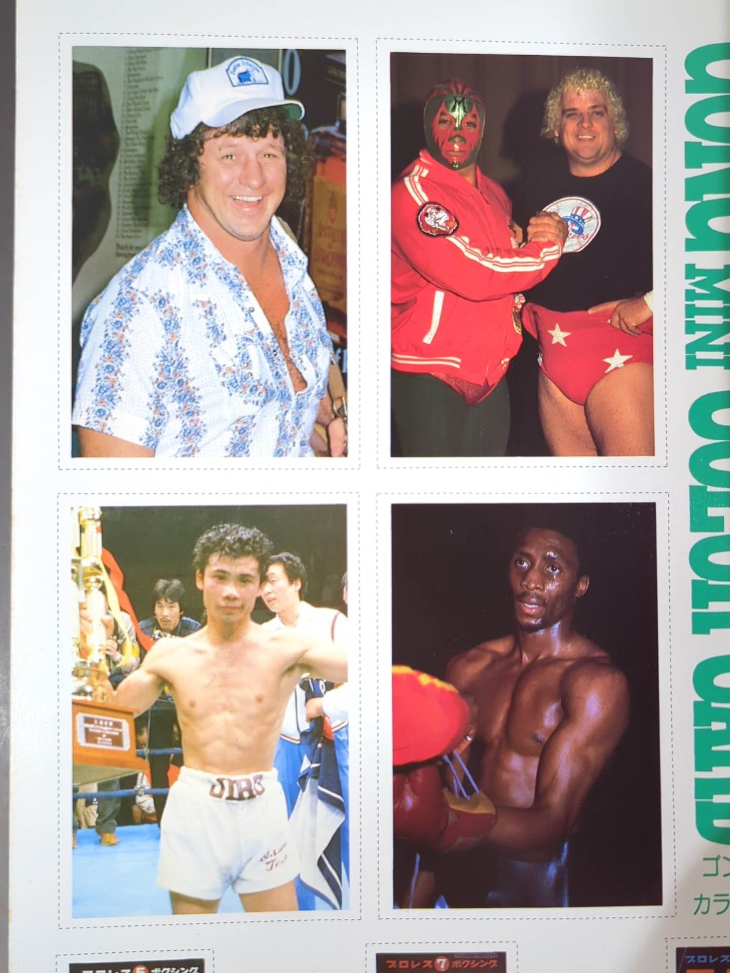 ★ Terry Funk Monthly Gong Vol.15 ★ No.6 with Mini Color Card