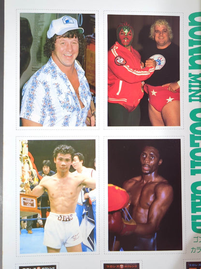 ★ Terry Funk Monthly Gong Vol.15 ★ No.6 with Mini Color Card