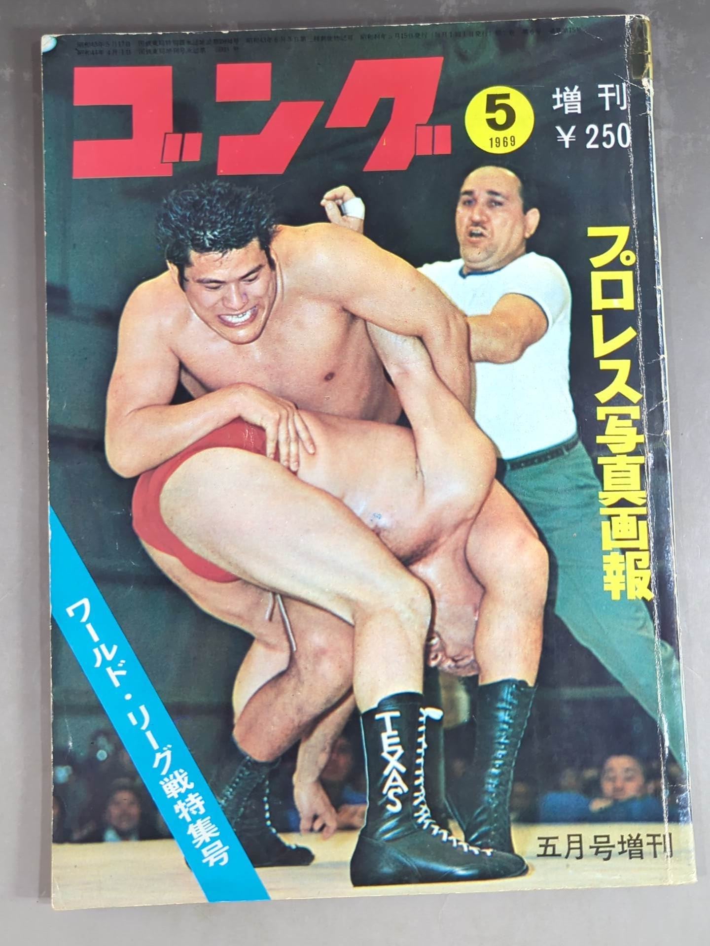 月刊ゴングVol.2 No.6増刊