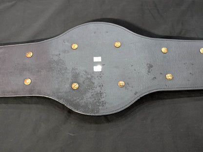 International Heavyweight Title Belt