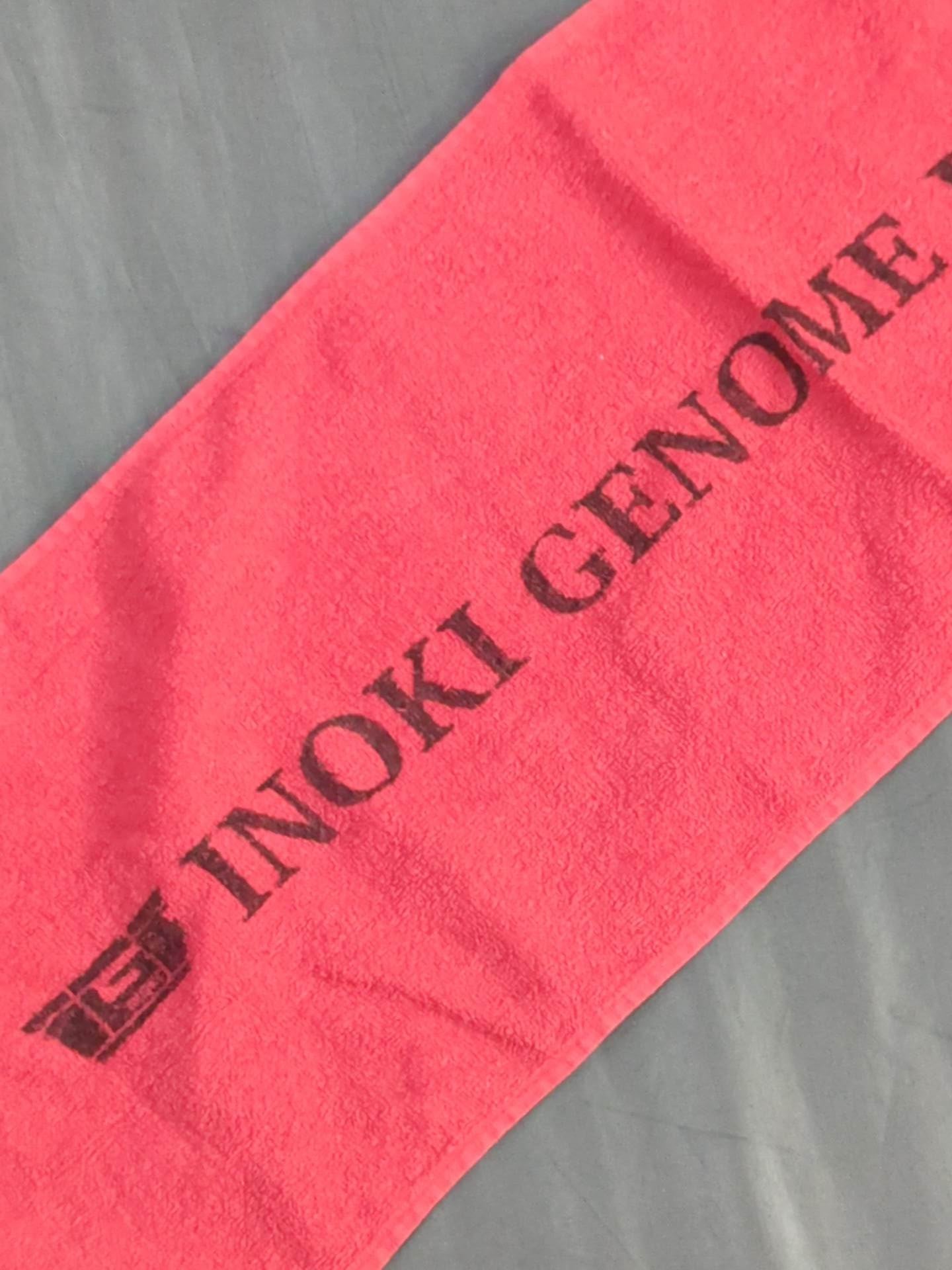 IGF「INOKI GENOME FEDERATION」マフラータオル