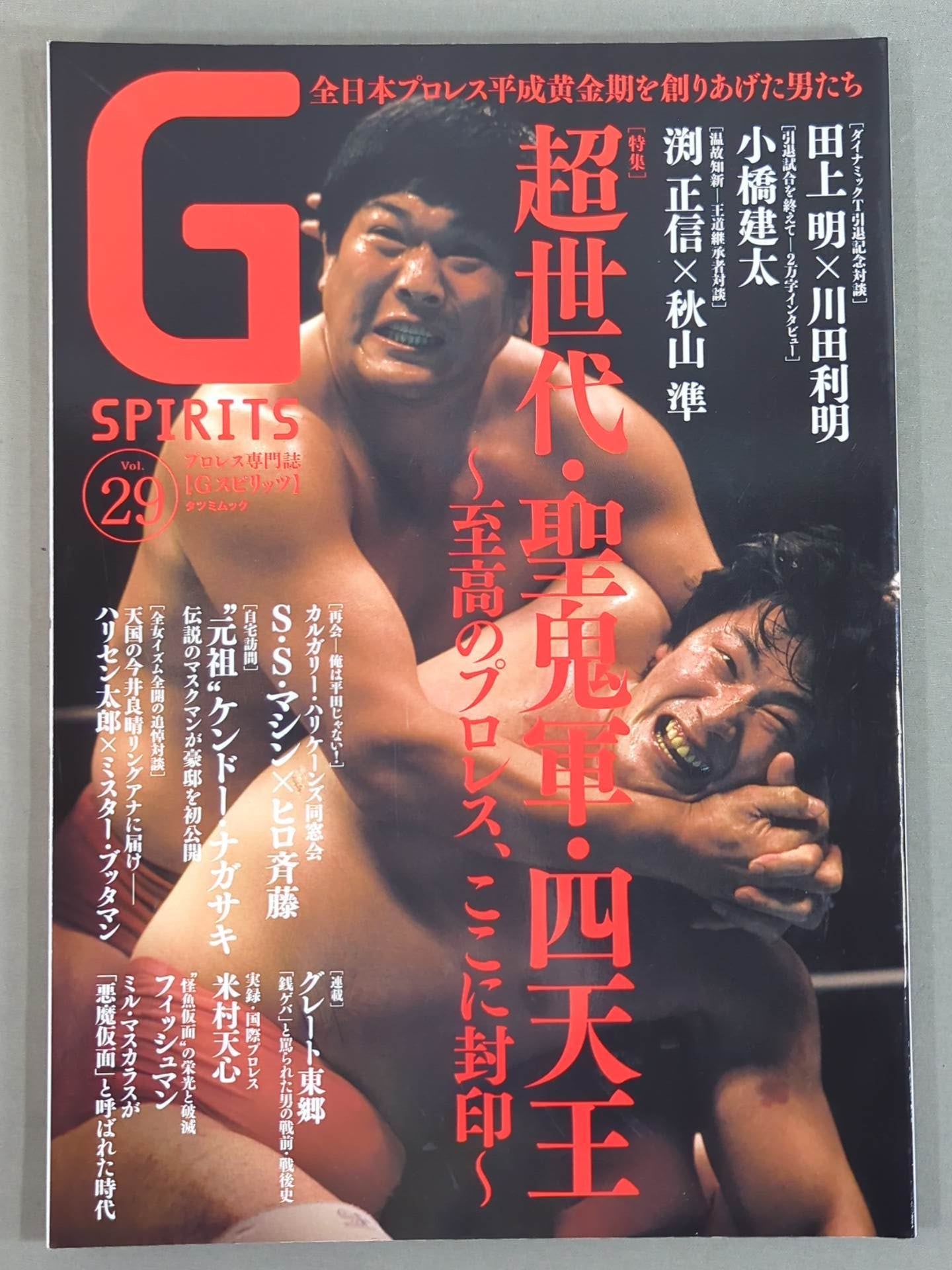 Gスピリッツ29