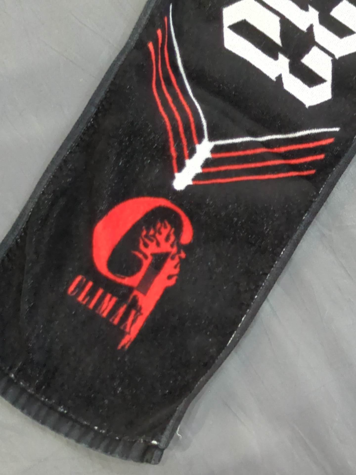 ★G1 CLIMAX 33★ Games Commemorative Muffler Towel