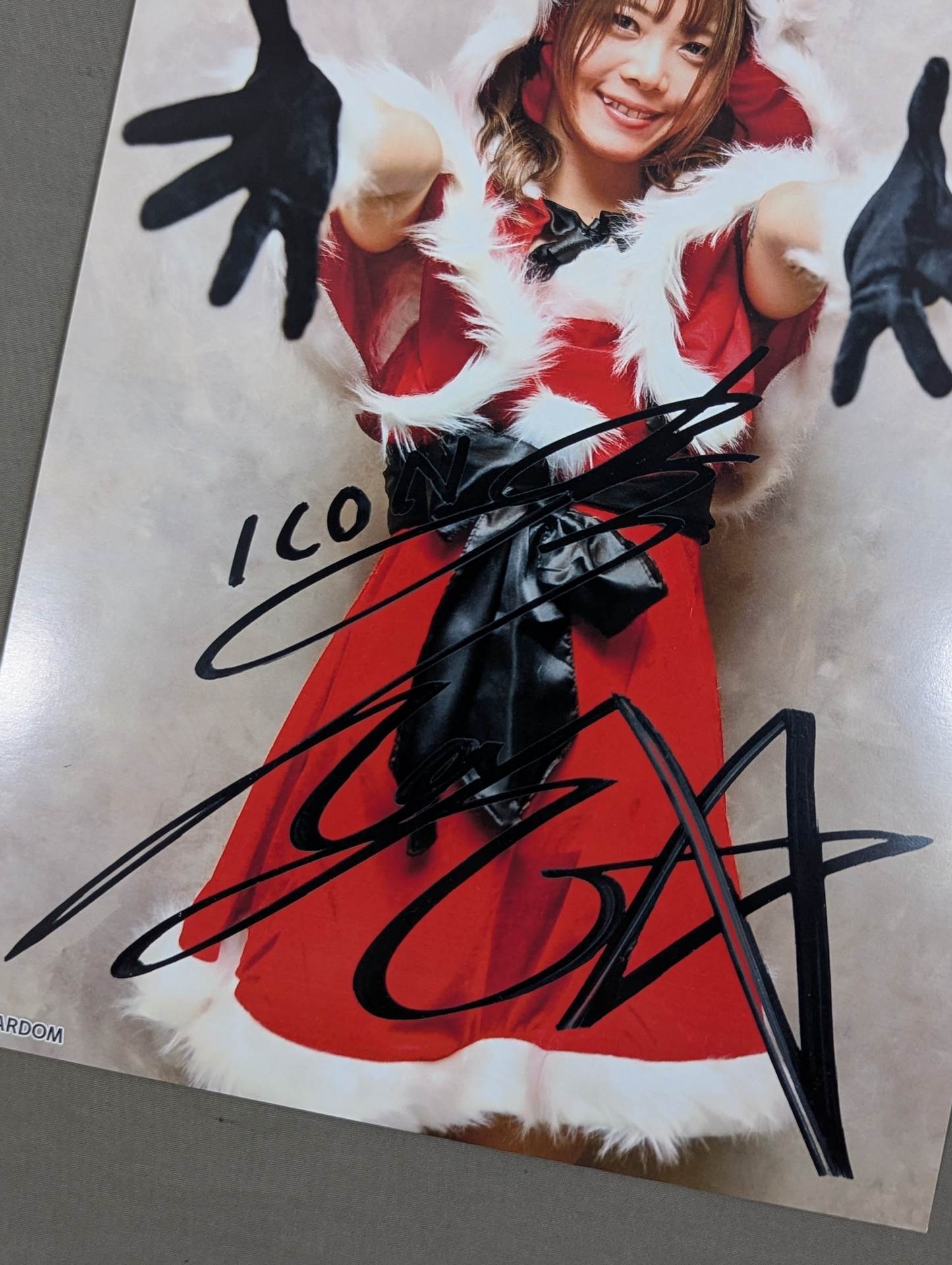 岩谷麻優 ポートレート サンタver – 闘道館