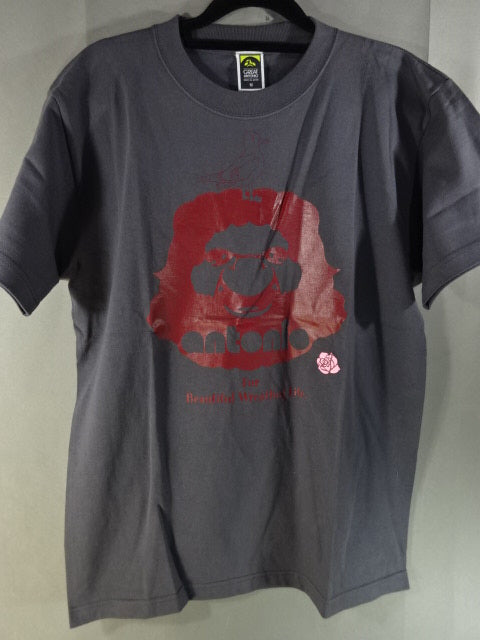 Great Antonio  T-Shirt (1) (Grey)