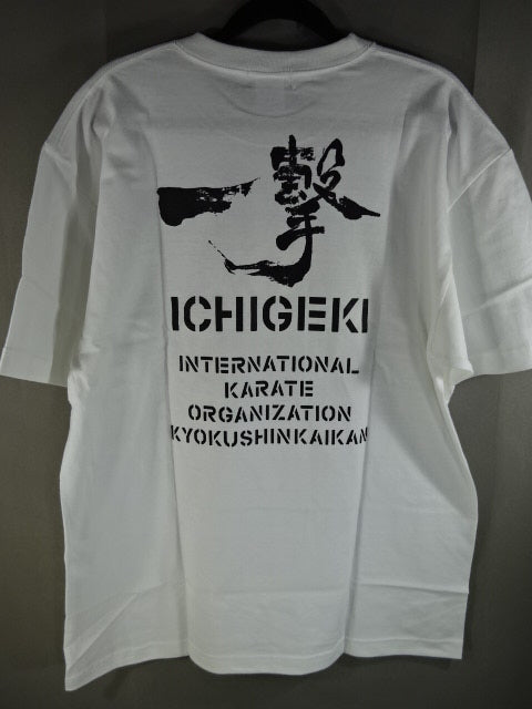 Kyokushin T-Shirt (4) (White)