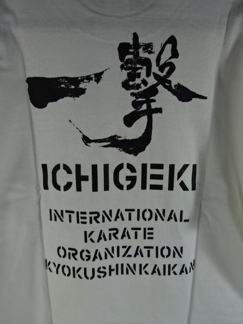 Kyokushin T-Shirt (4) (White)