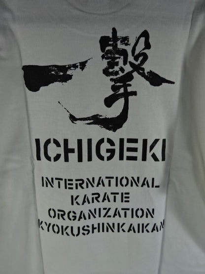 Kyokushin T-Shirt (4) (White)