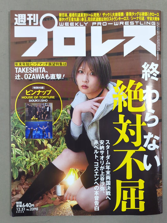 Weekly Pro Wrestling 2390