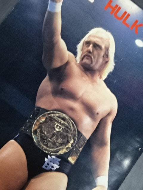 Hulk Hogan Posters(3)
