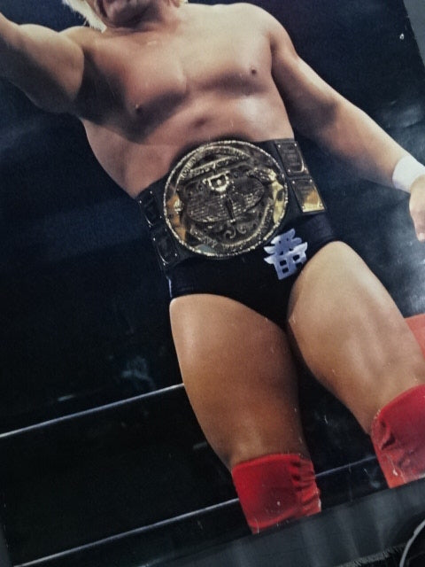 Hulk Hogan Posters(3)