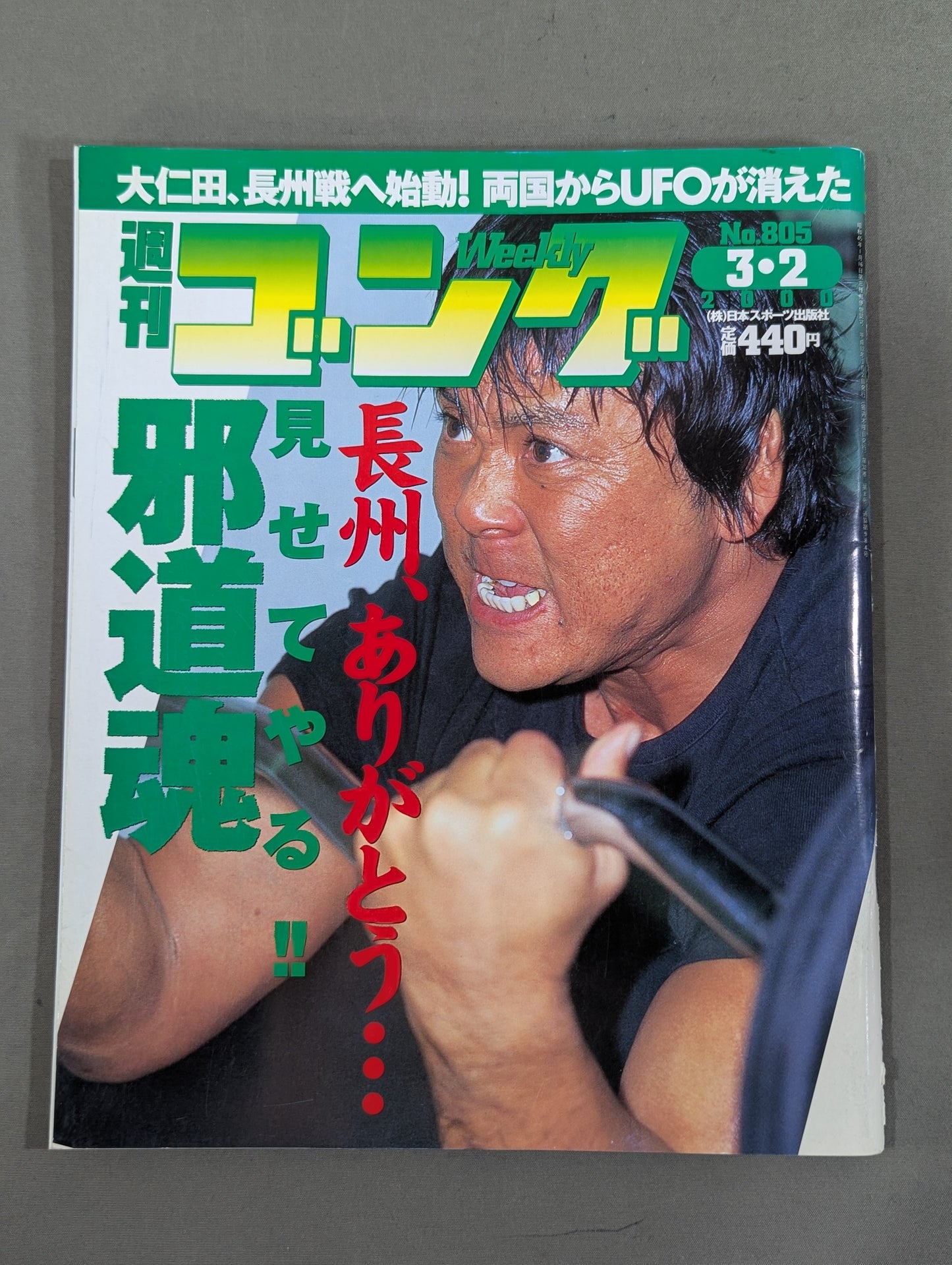 週刊ゴング805