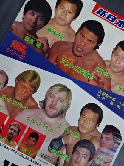 Fighting spirit series