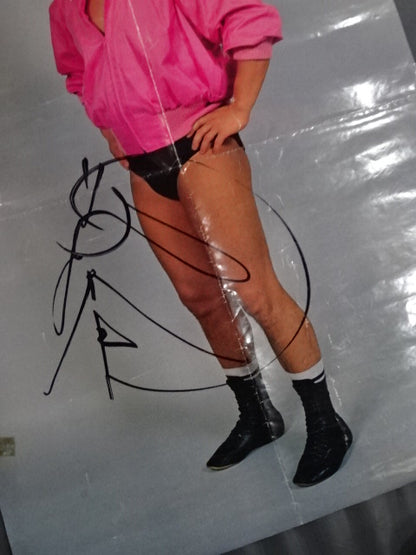 【hand signed autograph】 Tatsumi Fujinami  Posters(1)