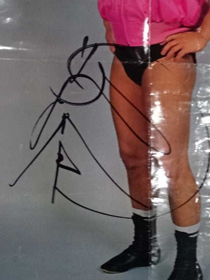 【hand signed autograph】 Tatsumi Fujinami  Posters(1)