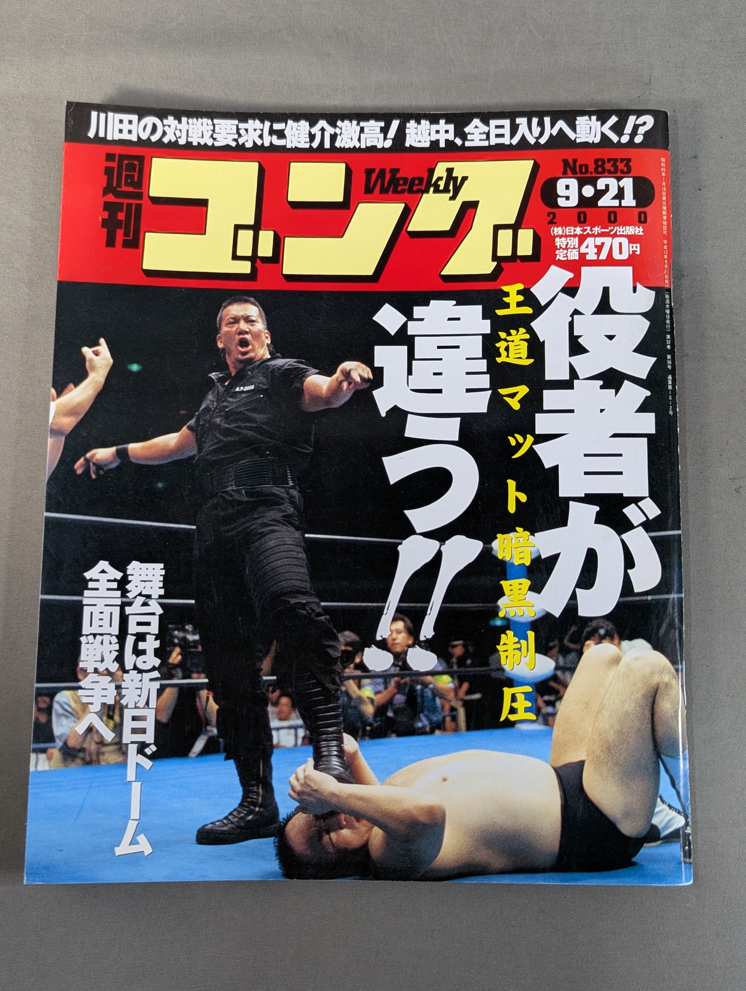 週刊ゴング833 – 闘道館