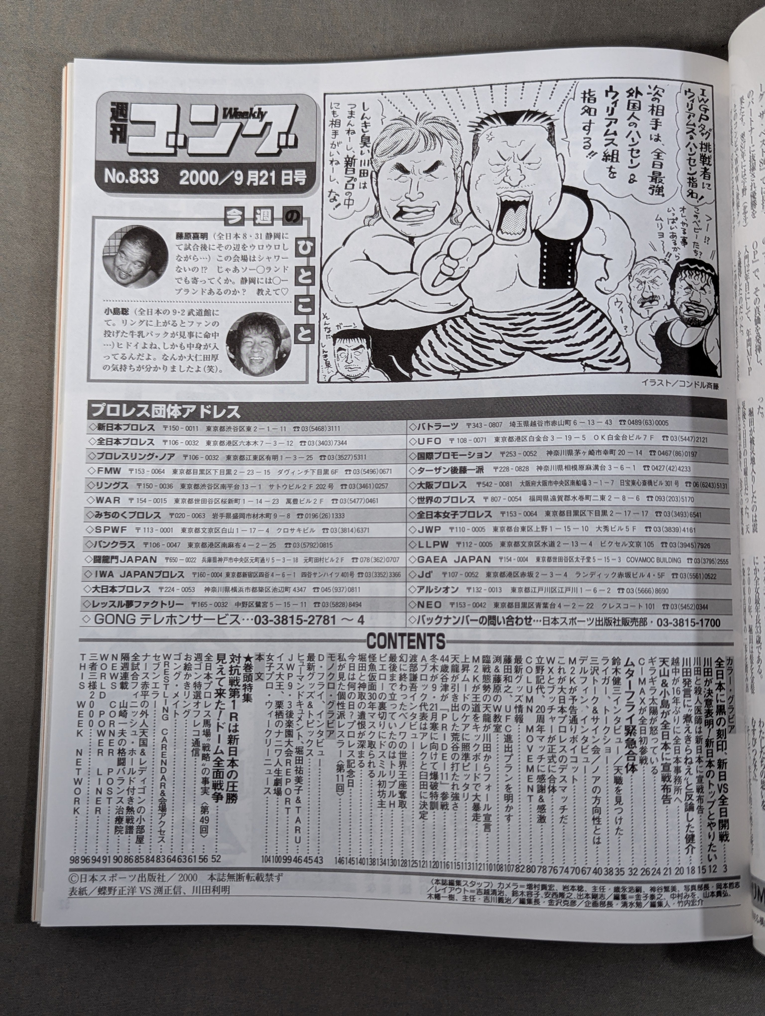 週刊ゴング833 – 闘道館