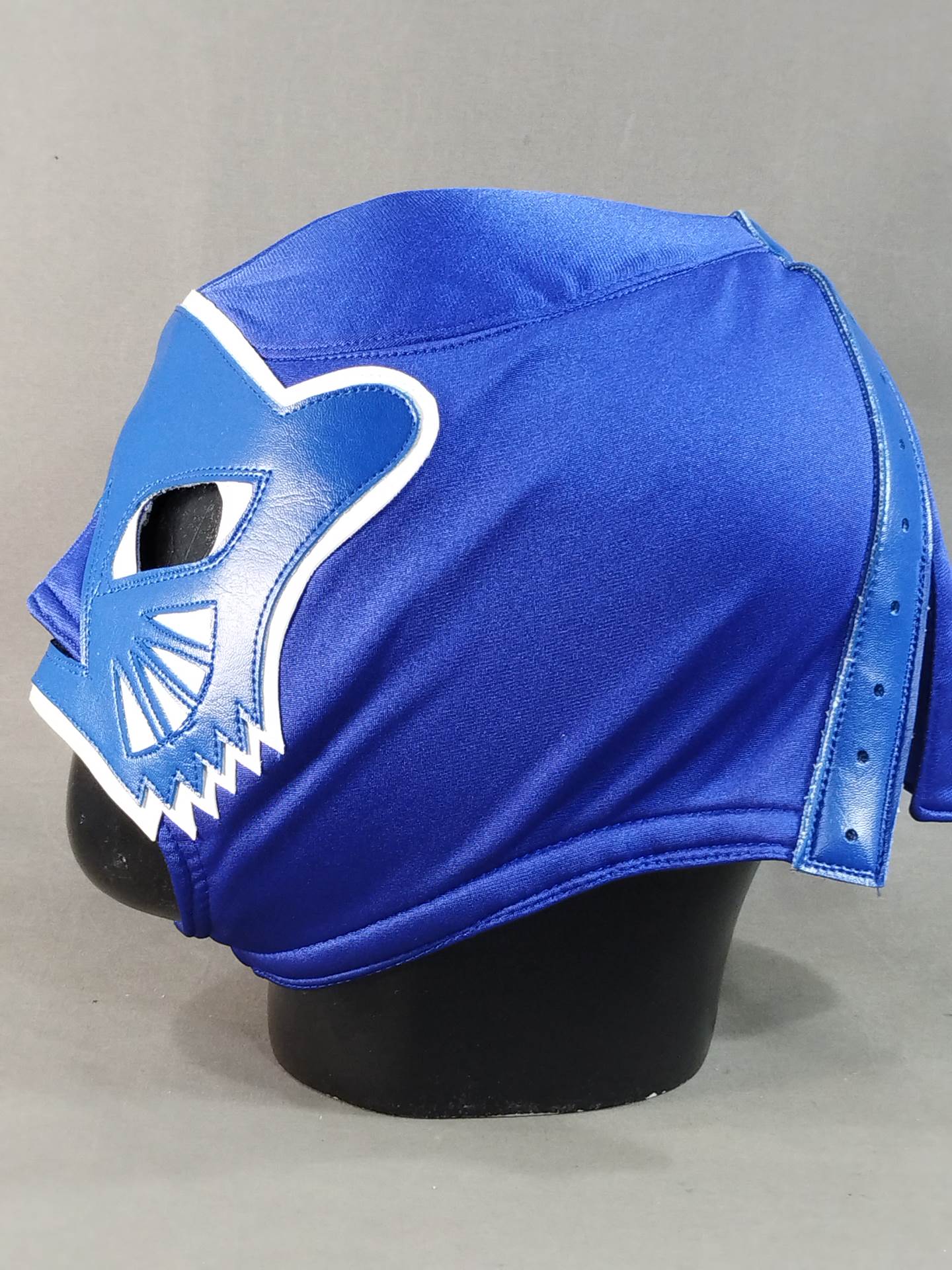 Blue Panther 