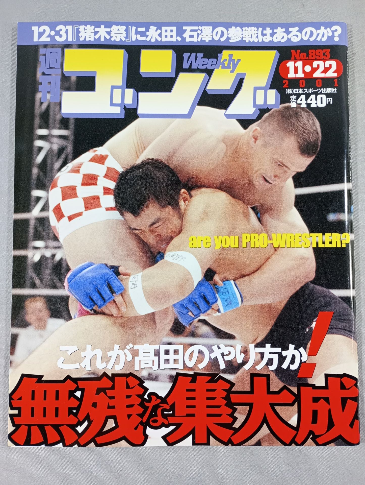 週刊ゴング893 – 闘道館
