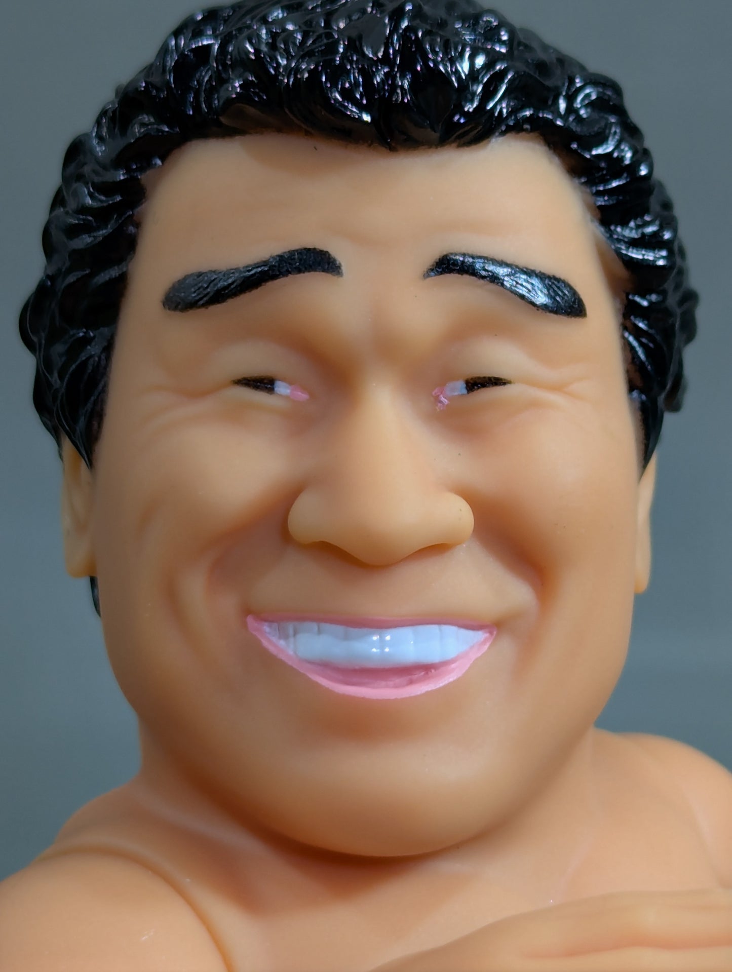 Tenryu Genichiro  Retirement Commemorative Figure (Chop)
