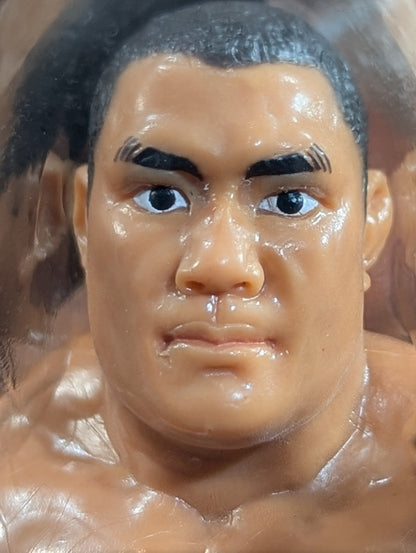 藤田和之(IWGP初代＆2代目・DX)