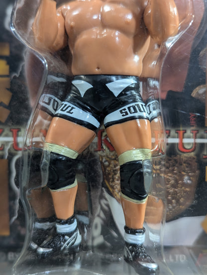 藤田和之(IWGP初代＆2代目・DX)