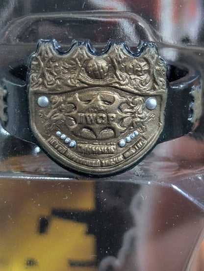 藤田和之(IWGP初代＆2代目・DX)